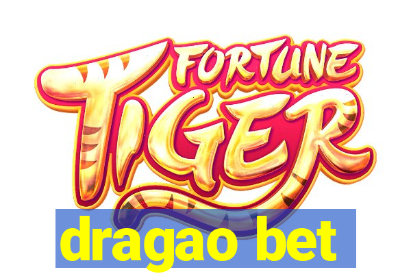 dragao bet